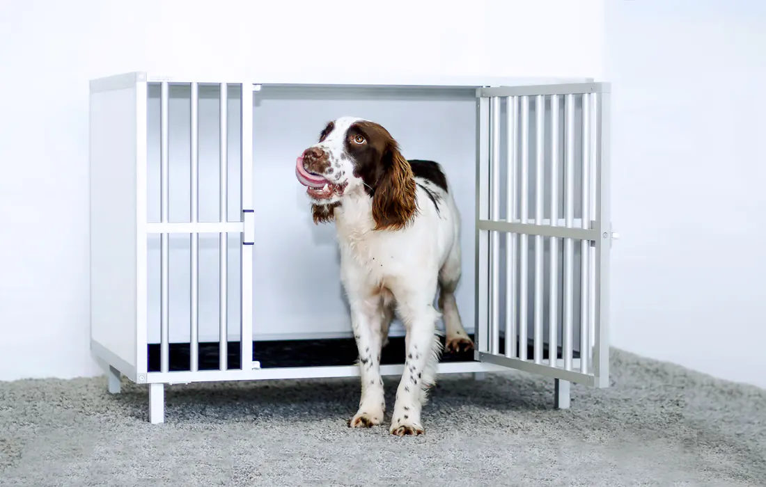 Mobilier Braveur véto à l'usage des chien et les chats