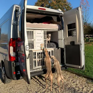 Camping-car et whippets
