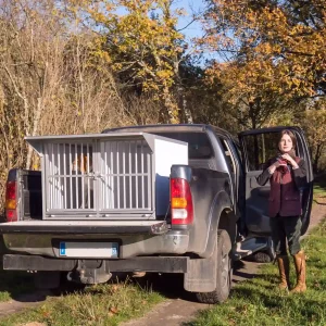 Caisse de transport Braveur pour pick-up benne ouverte pour emmener les chiens à la chasse