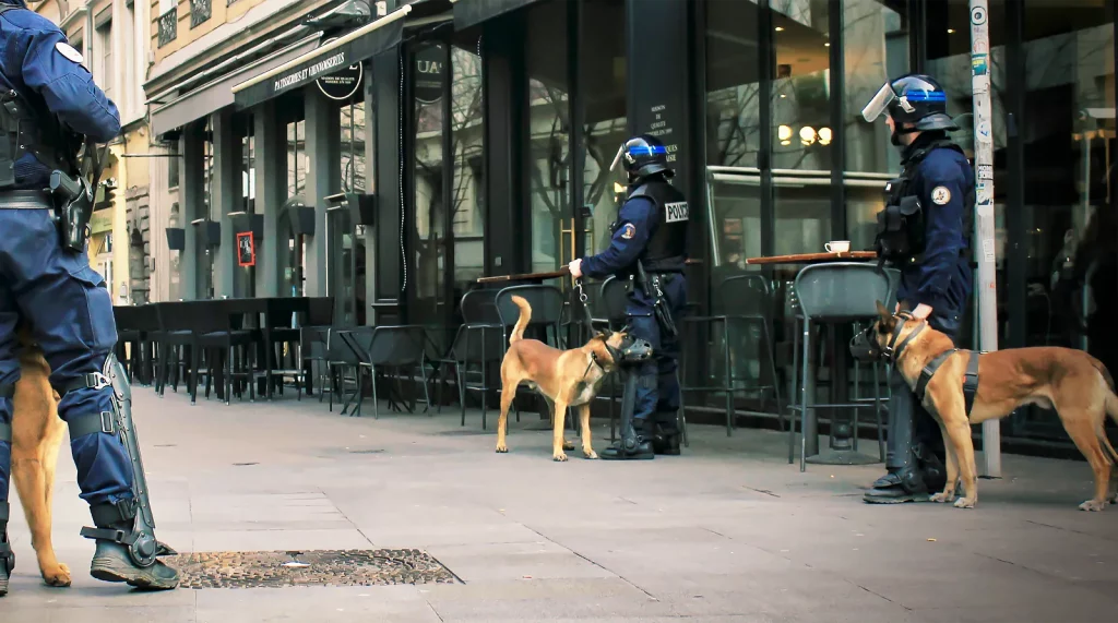 Bannière Maître de chien