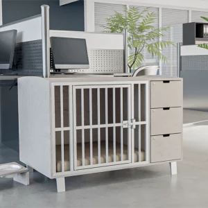 Caisse de jour braveur pour entreprise petfriendly et hotel canins