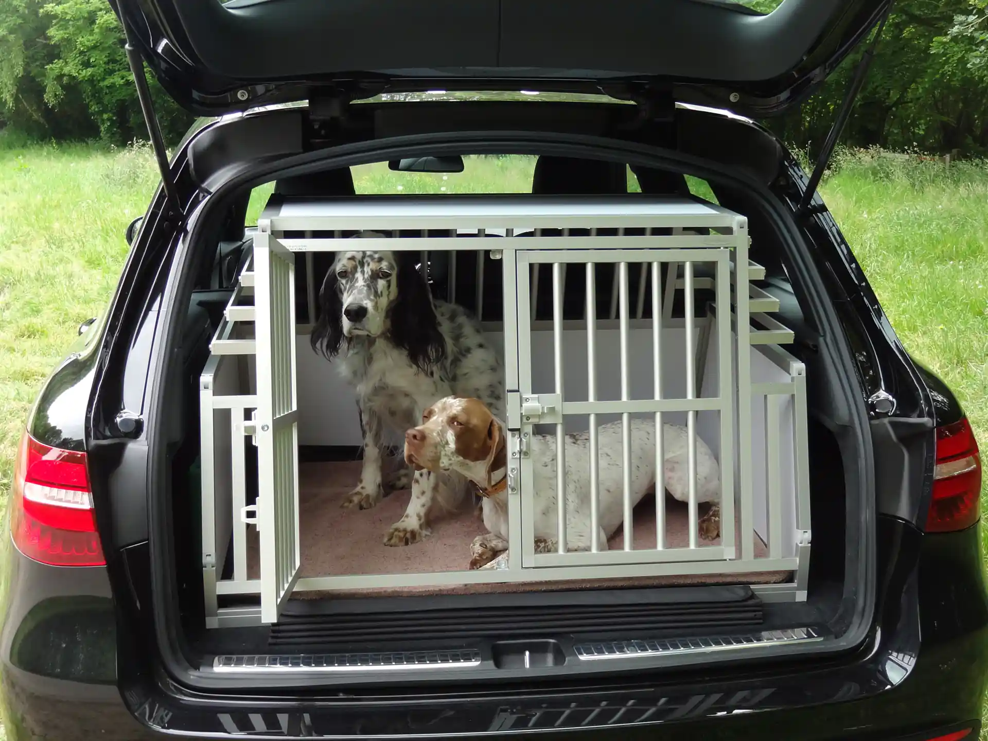Cage transport pour chiens Bizeaux courts pour coffre voiture Braveur