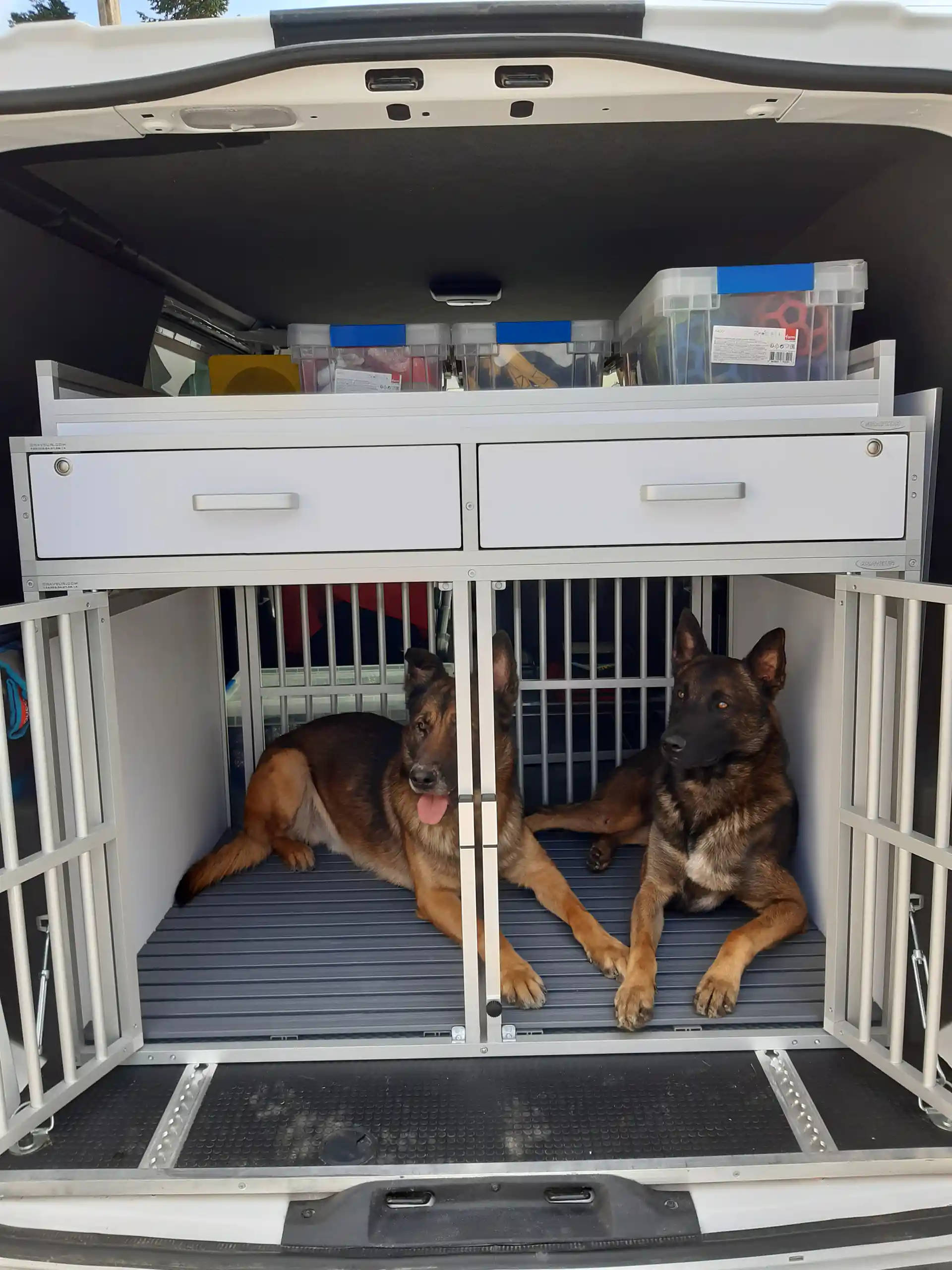 Cage de transport pour chiens DogBox Pro double. Caisses de