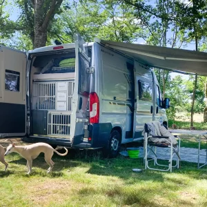 Camping car aménagé en sur mesure par Braveur pour voyager avec ses chiens en toute sécurité