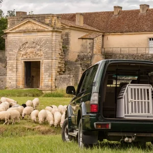 Caisse de transport Braveur pour le transport des chiens de troupeau en véhicule léger et 4x4