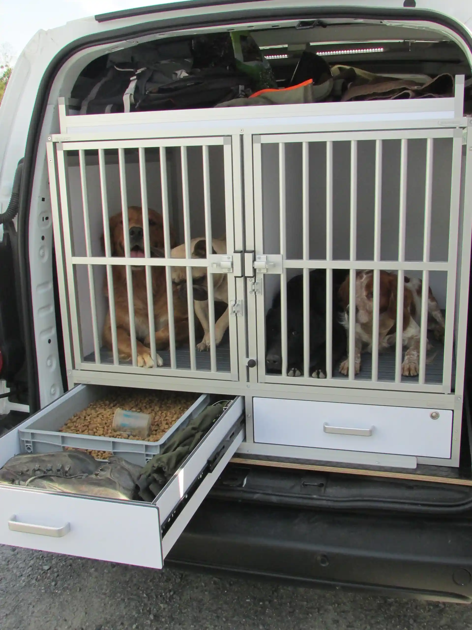 Cage transport pour chiens Bizeaux courts pour coffre voiture Braveur