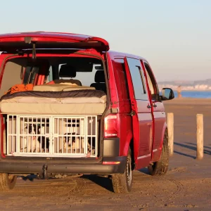 Aménagement Braveur d'un utilitaire VW Transporter pour la pratique de concours de chiens de troupeau sur ovins