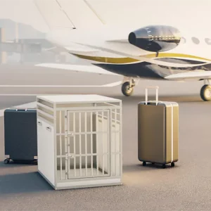 Braveur spécial avion - cage IATA pour chien