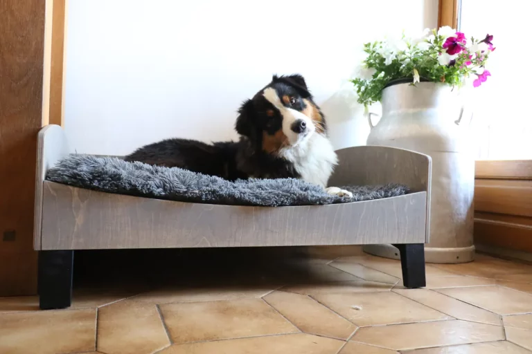 Lit haut de gamme pour chien de maison, conçu et fabriqué par Braveur entreprise française